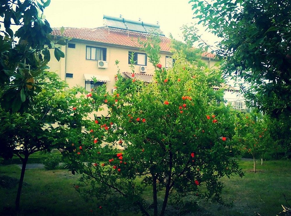Viktoria Tirana Hotel 3*